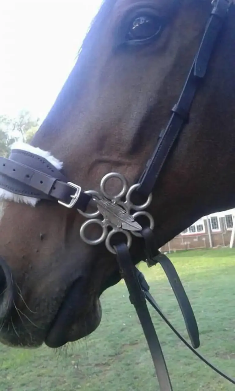 Made It Horse Art